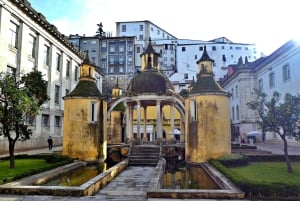 Coimbra: Odkryj uroki i najważniejsze atrakcje podczas pieszej wycieczki