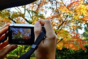 Coimbra: Odkryj uroki i najważniejsze atrakcje podczas pieszej wycieczki