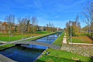 Coimbra: Odkryj uroki i najważniejsze atrakcje podczas pieszej wycieczki