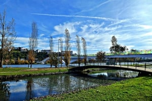 Coimbra: Odkryj uroki i najważniejsze atrakcje podczas pieszej wycieczki