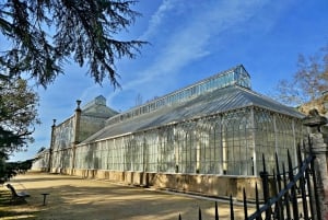 Coimbra: Odkryj uroki i najważniejsze atrakcje podczas pieszej wycieczki