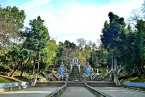 Coimbra: Odkryj uroki i najważniejsze atrakcje podczas pieszej wycieczki