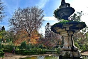 Coimbra: Odkryj uroki i najważniejsze atrakcje podczas pieszej wycieczki