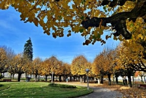 Coimbra: Odkryj uroki i najważniejsze atrakcje podczas pieszej wycieczki