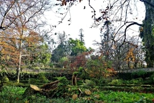 Coimbra: Odkryj uroki i najważniejsze atrakcje podczas pieszej wycieczki