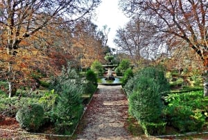 Coimbra: Odkryj uroki i najważniejsze atrakcje podczas pieszej wycieczki