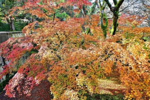 Coimbra: Odkryj uroki i najważniejsze atrakcje podczas pieszej wycieczki