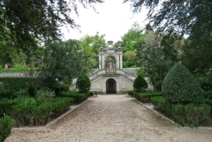 Coimbra: Byvandring til højdepunkterne med en certificeret guide