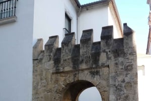 Coimbra: Byvandring til højdepunkterne med en certificeret guide