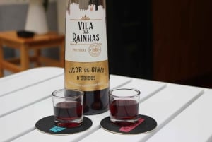 Coimbra: Night Tour with Fado Music, Wine, and Tasting