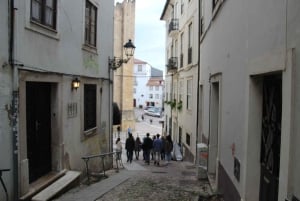 Coimbra: Night Tour with Fado Music, Wine, and Tasting