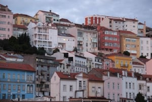 Coimbra: Night Tour with Fado Music, Wine, and Tasting