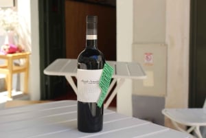 Coimbra: Night Tour with Fado Music, Wine, and Tasting