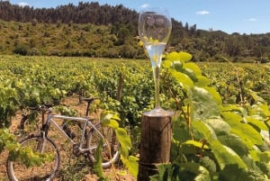 Coimbra: Prior Lucas' vinoplevelse