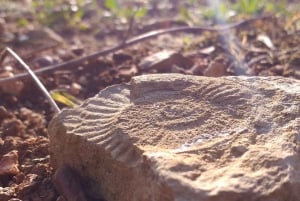 Coimbra: Prior Lucas' vinoplevelse