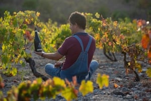 Coimbra: Prior Lucas' vinoplevelse