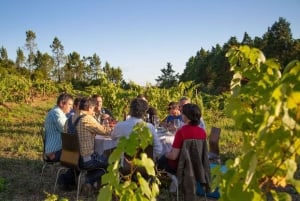 Coimbra: Prior Lucas' vinoplevelse