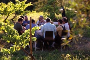 Coimbra: Prior Lucas' vinoplevelse