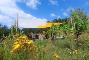 Coimbra: Prior Lucas' vinoplevelse