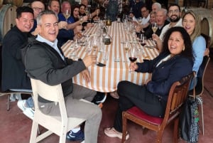 Coimbra: Prior Lucas' vinoplevelse