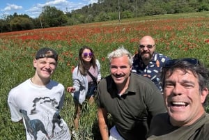 Costa Brava: Private Tour of Empuries and Boat Ride