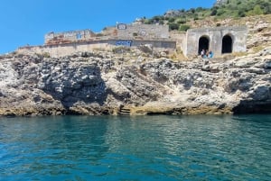 Obserwacja delfinów: Sesimbra / Park Przyrody Arrábida