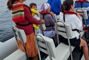 Obserwacja delfinów: Sesimbra / Park Przyrody Arrábida