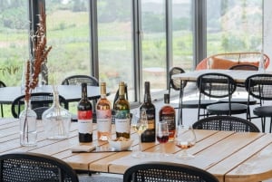 Douro: Martha's Welcome - Wine Tour and Tasting