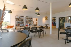 Douro: Martha's Welcome - Wine Tour and Tasting