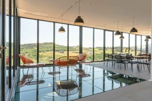 Douro: Martha's Welcome - Wine Tour and Tasting