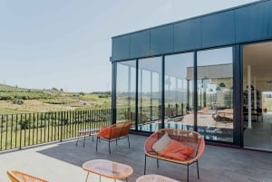 Douro: Martha's Welcome - Wine Tour and Tasting