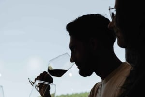 Douro: Martha's Welcome - Wine Tour and Tasting