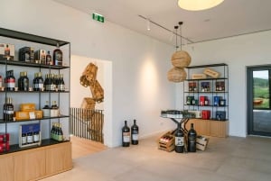 Douro: Martha's Welcome - Wine Tour and Tasting