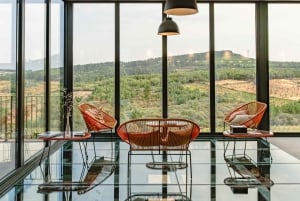 Douro: Martha's Welcome - Wine Tour and Tasting