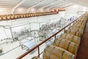 Douro: Martha's Welcome - Wine Tour and Tasting