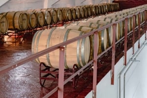 Douro: Martha's Welcome - Wine Tour and Tasting