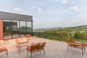 Douro: Martha's Welcome - Wine Tour and Tasting