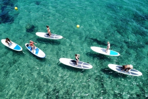 Es Figueral: Standup Paddleboarding-eventyr