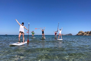 Es Figueral: Standup Paddleboarding-eventyr