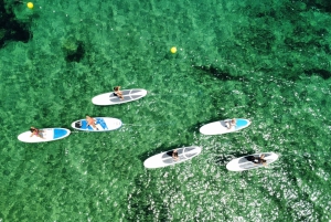 Es Figueral: Standup Paddleboarding-eventyr