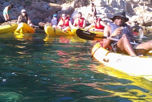 Udflugt GUIADA EN KAYAK - INICIACIÓN 1t 15m