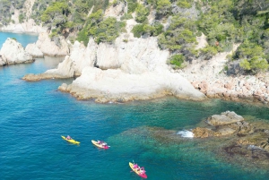 Udflugt GUIADA EN KAYAK - INICIACIÓN 1t 15m