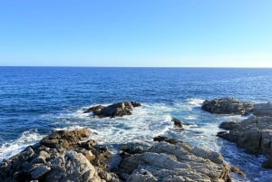 Von Barcelona aus: Private Costa Brava Guided Tour