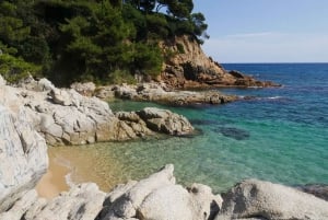Von Barcelona aus: Private Costa Brava Guided Tour