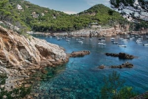 Von Barcelona aus: Private Costa Brava Guided Tour