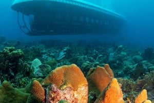 From Bridgetown: Scenic Boat and Submarine Tour