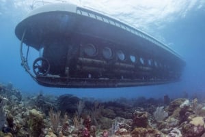 Da Bridgetown: tour panoramico in barca e sottomarino