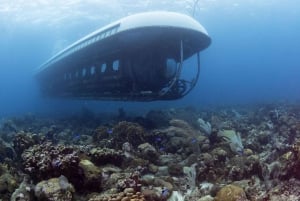 De Bridgetown: passeio panorâmico de barco e submarino