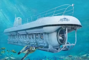 Van Bridgetown: schilderachtige boot- en onderzeeërtour