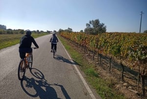 Fra Coimbra: Cykling i Bairrada-vinmarkerne